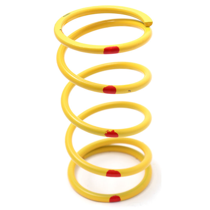 CAN-AM Primary Springs