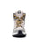 SIDI NUCLEUS WP HIGH RIDING SHOES 2026 in Gray