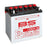Yuasa Battery Conventional 12 Volts Yuasa Battery
