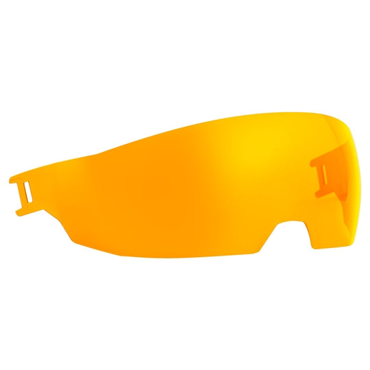 DS24 Sunvisor CKX
