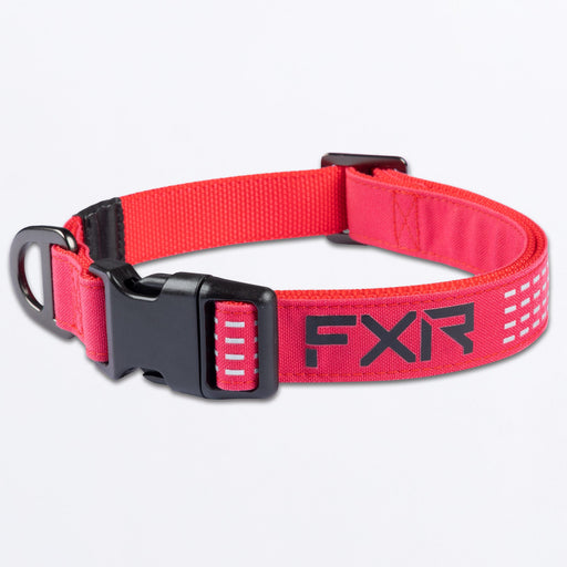 FXR Dog Collar in Razz/Black