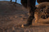 ICON SUPERDUTY6™ WATERPOOF CE BOOTS 2026