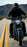ICON SUPERDUTY6™ WATERPOOF CE BOOTS 2026