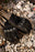 ICON CONTRA3™ GLOVES 2026 in Black