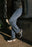 ICON WOMEN’S TUSCADERO3™ JEANS 2026 in Blue