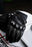 ICON CONTRA3™ GLOVES 2026 in Black
