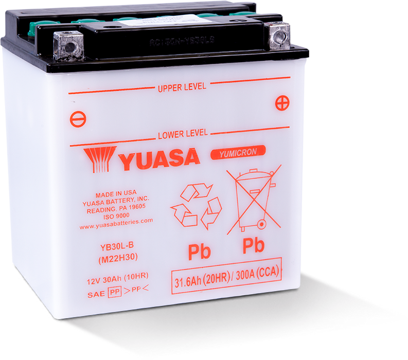 Yuasa Battery YB30L-B