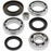 ALL BALLS DIFFERENTIAL BEARING AND SEAL KIT (25-2008)