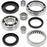 ALL BALLS DIFFERENTIAL BEARING AND SEAL KIT (25-2021)