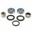 ALL BALLS WHEEL BEARING KIT RR (25-1789)