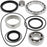 ALL BALLS DIFFERENTIAL BEARING AND SEAL KIT (25-2033)