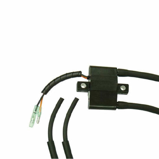 SPX IGNITION COIL (SM-01189)