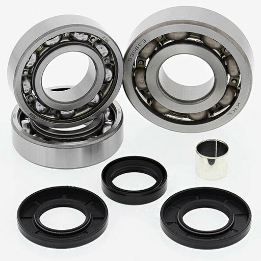 ALL BALLS DIFFERENTIAL BEARING AND SEAL KIT (25-2058)