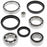 ALL BALLS DIFFERENTIAL BEARING AND SEAL KIT (25-2051)