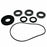 ALL BALLS DIFFERENTIAL BEARING AND SEAL KIT (25-2105)
