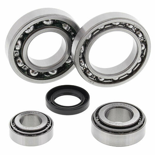 ALL BALLS DIFFERENTIAL BEARING AND SEAL KIT (25-2019)