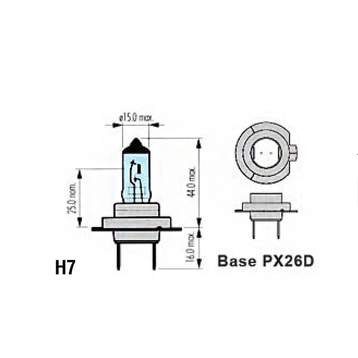 H7 Headlight Bulbs
