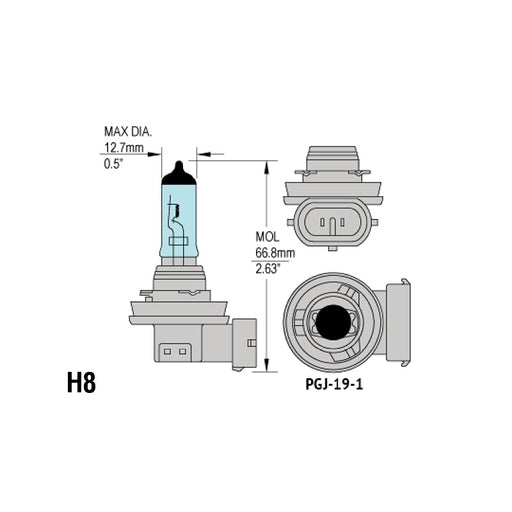 H8 Headlight Bulbs