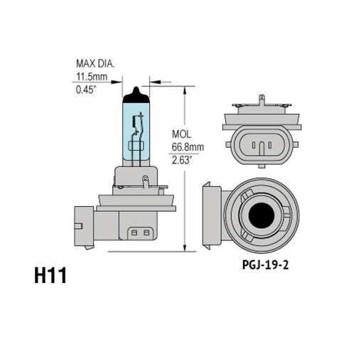 H11 Headlight Bulbs