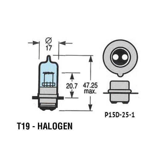 T19 - HALOGEN Headlight Bulbs